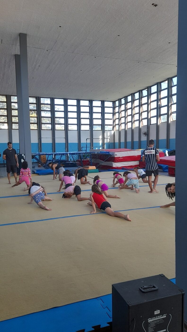 Ginástica: Movimento que transforma